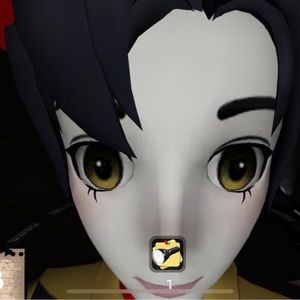 Meet your Posher, Camille